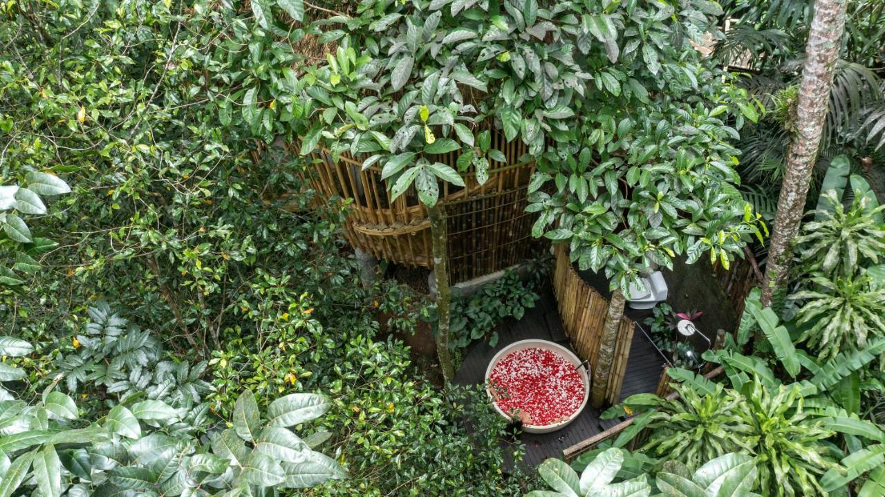 Вілла Amarta Pesagi Retreat Tabanan Екстер'єр фото